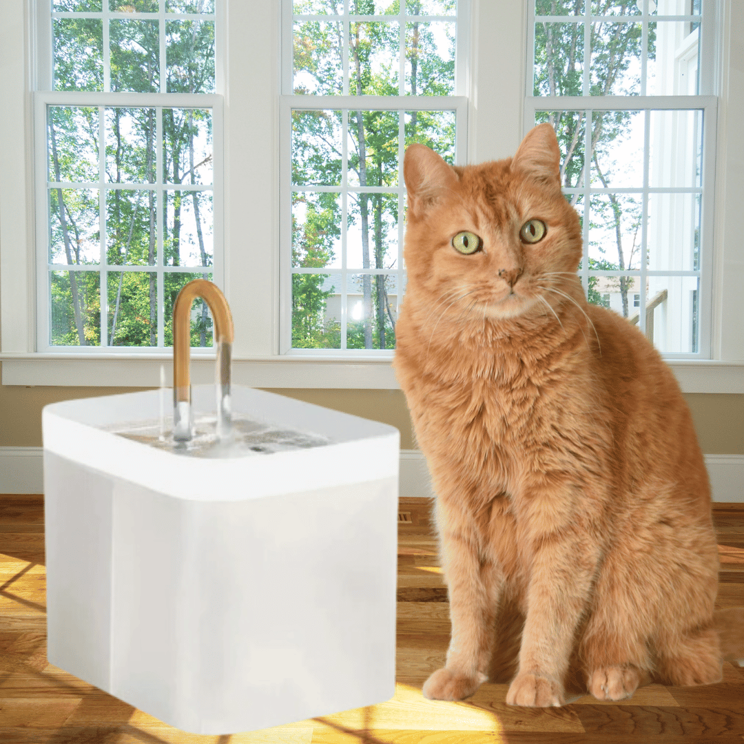 KittyCove™ Cat Water Fountain  - 60% Off!  Summer Sale! -